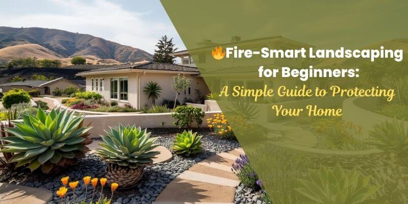 🔥Fire-Smart Landscaping for Beginners: A Simple Guide to Protecting Your Home.