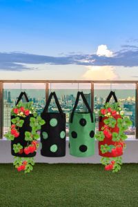 What are hydroponic strawberries? A Beginner’s Guide to Sweet, Soil-Free Harvests. smart home drive